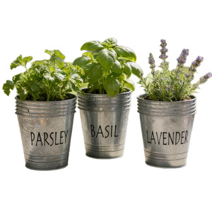 Bacs en tôle galvanisée style rétro, pots de fleurs pour balcon, persil, <span class=keywords><strong>basilic</strong></span> et lavande, usine - Product Image 5