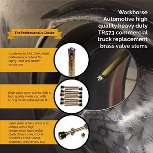 Nouvelles valves de pneu de voiture et de camion TR572 TR573 pièces automobiles - Product Image 4