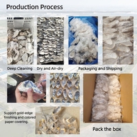 Fabricant professionnel de kits de coquilles d'huîtres nettoyées pour le bricolage, comprenant de la colle, de la peinture et des pinceaux. Prise en charge de la marque privée et de l'emballage personnalisé.