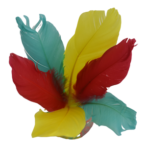 Volant de sport en néoprène personnalisé Offre Spéciale <span class=keywords><strong>Jianzi</strong></span> jouets de plage balle de plumes-produit de divertissement fait main - Product Image 5