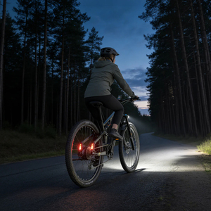 เซ็นเซอร์จังหวะแรงบิดแบบคู่สำหรับจักรยานเสือภูเขาระบบไฟฟ้าแบตเตอรี่960Wh แรงบิด29นิ้ว250W 48V 20Ah emtb MG600 Pro - Product Image 4