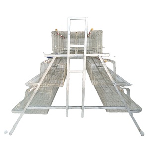 Haute qualité poulet <span class=keywords><strong>cage</strong></span> de <span class=keywords><strong>couche</strong></span> de ferme à vendre au Zimbabwe - Product Image 1