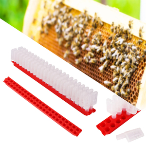Gabbie per l'allevamento di api regine a striscia, con barra rossa e trasparenti, strumento per il trasporto di api regine - Product Image 6