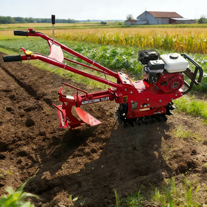 Landwirtschaftliche Benzin-Pflugmaschine für Landwirte / <span class=keywords><strong>Mini</strong></span>-Bodenfräse mit Dieselmotor und Kultivator - Product Image 2