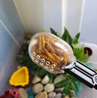 Pince à insectes en plastique pour enfants, outil de capture d'insectes, jouet éducatif d'exploration de la nature en plein air, fournisseur en gros