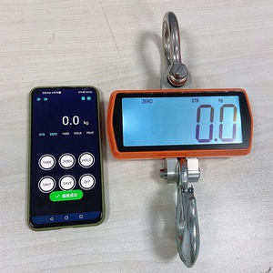 เครื่องชั่งเครนดิจิตอลราคาประหยัด พร้อมจอ LCD แสดงผลแบบ OEM ปรับแต่งได้ รองรับน้ำหนัก 1000 กก. - Product Image 5