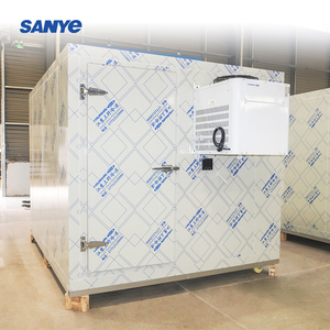 40ft <span class=keywords><strong>Container</strong></span> vận chuyển nhà cung cấp Trung Quốc phòng lạnh giá đi Bộ lạnh lưu trữ phòng - Product Image 1