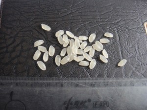 Línea de Producción de Arroz Enriquecido con Nutrientes Totalmente Automática, Extrusora de Doble Tornillo, Motor de Engranajes, Alta Eficiencia, Elaboración de Arroz Fortificado - Product Image 4