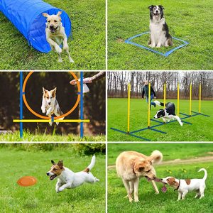 PetFit Biyobozunur Engel Atlama Konisi Kova İşaretleyici Kombinasyon Engel Köpek Çeviklik Eğitim Ekipmanı ABS Malzeme 1 Set - Product Image 3