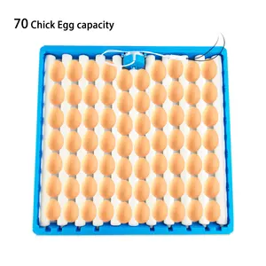 Vassoio multifunzionale blu automatico dell'uovo del rullo del vassoio 360 V 70-220 del rullo di Turner dell'uovo da 108 gradi