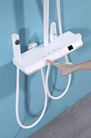 Pommeau de douche de luxe en laiton poli haute pression avec noyau de valve en céramique pour salle de bain, jet de pluie doux, pulvérisation et inverseur de jet, bec de robinet