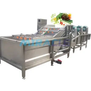 Vegetable Wash And Dryer Line Air Dry Washing Blowing Machine Vegetables Peeled Garlic Wash And Drying Machine