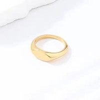 Individuell Gravierter Edelstahl-Ring für Damen 18K OEM ODM Service Blanko Einfacher Ovaler Ring Punk-Stil für Herren