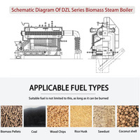 DZL Boiler Uap Rantai Grate Horizontal Tekanan Rendah Berbahan Bakar Batubara Biomassa 1-20tph 0.7-2.5MPa Otomatis Efisiensi Tinggi