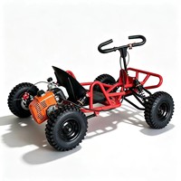 Buggy à pédales à essence 4 roues UTV, moto de plage pour drift, moteur deux temps, vitesse 35 km/h, aventures en plein air, roues de 6 pouces