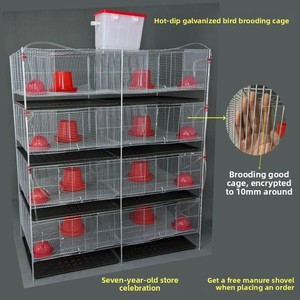 Cage à poulets <span class=keywords><strong>en</strong></span> acier galvanisé isolé hautement résistant à la rouille pour l'élevage <span class=keywords><strong>de</strong></span> cailles et <span class=keywords><strong>de</strong></span> cochons d'Inde, nouvelle garantie d'un an - Product Image 5