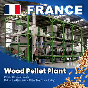 Usine de granulés de bois RICHI ATEX - Ligne de production complète de granulés de bois professionnelle de 1 à 10 tonnes par heure pour la <span class=keywords><strong>France</strong></span> - Product Image 1