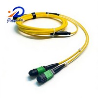 Heavy Duty 24 Fiber 2x MPO-MPO SM G.657A2 G.657A1 G.652D Telco Grade Low Loss Backbone Trunk Cable for 400G 800G Data Center