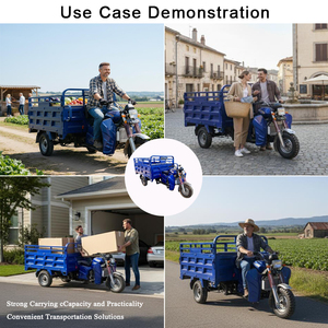 Tricycle à essence avec amortisseurs spéciaux, conduite confortable, tricycle à essence à forte capacité de charge, tricycle moto - Product Image 3