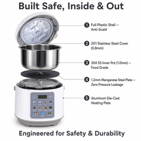 Mini autocuiseur électrique 3L 700W, multicuiseur 10-en-1, cuiseur à induction en acier inoxydable 304, cuiseur à riz compact CE