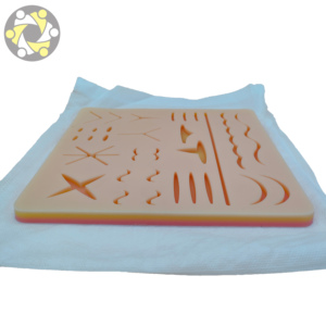 Modello Anatomico <span class=keywords><strong>di</strong></span> Pelle con Suture Chirurgiche <span class=keywords><strong>di</strong></span> Grandi Dimensioni per l'<span class=keywords><strong>Educazione</strong></span> <span class=keywords><strong>e</strong></span> la <span class=keywords><strong>Formazione</strong></span> in <span class=keywords><strong>Scienze</strong></span> Mediche - Product Image 3