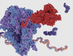 트립신 용 <span class=keywords><strong>ELISA</strong></span> 키트 - Product Image 6