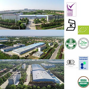 All'ingrosso cibo vegano Zero Calorie a basso contenuto calorico Konjac bagnati Halal Pasta istantanea pronta da mangiare Vermicelli Fettuccine Noodles - Product Image 6