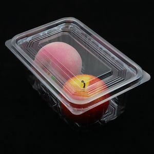 Kotak Makanan Plastik Transparan Persegi Panjang dengan Tutup untuk Sushi, Kue Kering, Kue, & Hewan Peliharaan - Product Image 6