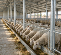 Bâtiments préfabriqués en acier à construction rapide et économique de style chinois pour abris de vaches, chevaux, chèvres et moutons