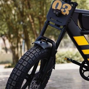 Vélo de montagne électrique transfrontalier <span class=keywords><strong>750</strong></span> <span class=keywords><strong>watts</strong></span> sans freins - Product Image 4