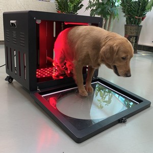 2026 Vente <span class=keywords><strong>en</strong></span> gros PT-LC Serious 5W <span class=keywords><strong>Thérapie</strong></span> par lumière rouge pour animaux de compagnie (chiens et chats) pour utilisation domestique, pour la récupération du visage et des pattes, soins de la peau, CE RoHS, OEM ODM - Product Image 4