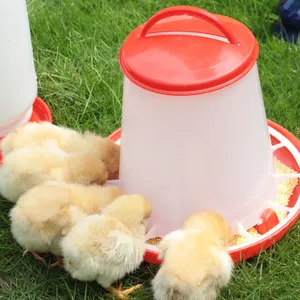 Mangiatoia di pollo e bevitore ha fornito attrezzature sportive per il passeggio di pollo fusto di pollame e fontana di plastica per pollame 6 mesi