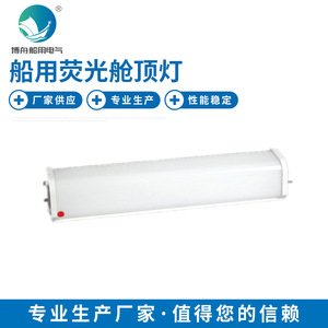 Lumière de passage fluorescente JBY15-1E, vente en gros d'usine, luminaires de plafond, utilisation marine, réductions en gros disponibles - Product Image 2