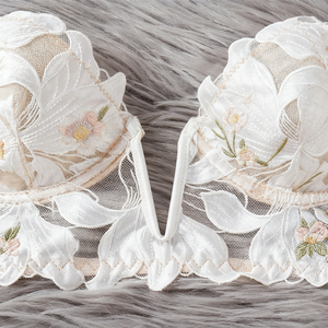 Conjunto de Lencería Sexy de Encaje Transparente para Mujer 2026, Ropa Interior Transparente para Chicas Adultas con Volantes y Malla, Incluye Sujetador y Braguita - Product Image 4