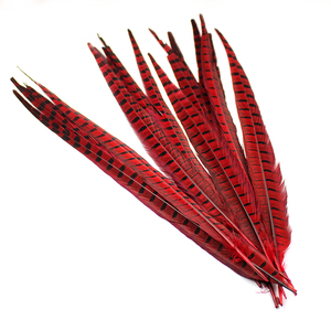 Plumas de Cola de Faisán de Collar Verde Natural de 50-55 cm - Product Image 2