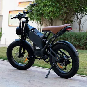 Fabrika toptan yağ lastik elektrikli bisiklet E bisiklet fiyat Fatbike 750W Motor 48V Battery pil 6 hız 20 inç elektrikli bisiklet