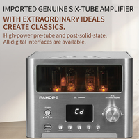 Ev Kullanımı için Hifi Tüp Stereo Güç Amplifikatörleri, Yüksek Kalite Seviyesi, TB Kayıpsız Fiber Koaksiyel Desteği
