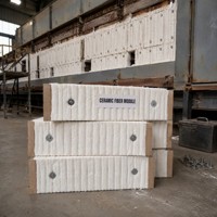 Module en fibre céramique anti-éclatement à structure stable, bloc d'isolation réfractaire pour revêtement de four à haute température