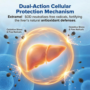 <span class=keywords><strong>Formule</strong></span> d'optimisation hépatique : Capsules dures pour l'efficacité du foie, 9 % de monosaccharides totaux, amélioration du métabolisme à haute activité, sans gluten - Product Image 3