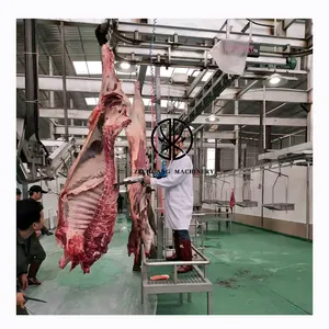 Pemasok medali emas Halal daging sapi Abattoir ternak pemotongan hewan jenis sabuk tempel potongan daging harga peralatan rel