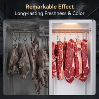 Vitrine Réfrigérée Professionnelle à 3 Portes pour Viande, à Refroidissement Direct, pour Boucherie Commerciale – Armoire de Présentation pour la Fraîcheur