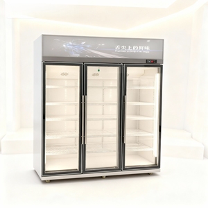 Réfrigérateur vertical pour épicerie, refroidisseur de boissons pour supermarché, réfrigérateur commercial avec porte vitrée, commande LED - Product Image 4
