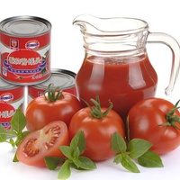 Shanghai Fabriek Tomatenpuree Productie Plant Ketchup Maken Machine/Tomatensaus Fruit Jam Verwerkingslijn
