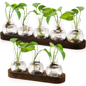 Support en bois art déco pour plantes hydroponiques Station de propagation des plantes <span class=keywords><strong>Vase</strong></span> en verre pour décoration de bureau à domicile Cadeau pour plantes d'intérieur - Product Image 1