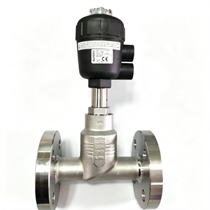 146283 2012 Vanne pneumatique à siège incliné 00146283, interrupteur à bride DIN 3/4 pouce DN20mm, joint PTFE, corps CF3M - Product Image 2