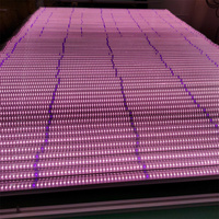 Yybrite-lampe de croissance led T8 uv, 2 pièces, éclairage horticole, industriel/commercial, pour culture de plantes, serre/chambre de culture lumineuse