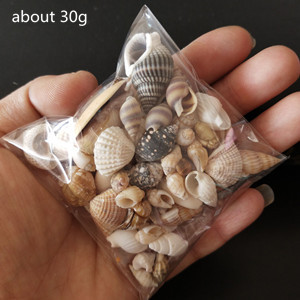 Conchas Marinas Mixtas Pequeñas en Bolsa, Decoración Náutica para Acuarios, Adornos Naturales, Mini Conchas Mediterráneas - Product Image 6