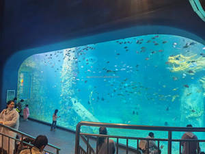 2021新しいデザイン水族館水槽水草造園ボトムフィルターカスタムホーム水槽キャビネットホワイトスペースアクセサリー - Product Image 2