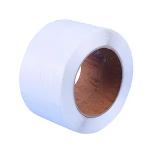 Nhiệm Vụ Nặng Nề Sử Dụng Có Thể Tái Chế Sợi Dây Đeo Vật Nuôi Đóng Băng Ban Nhạc Polyester Thân Thiện Với Môi Biểu Tượng Tùy Chỉnh Petro Băng Pet Băng Cho Máy