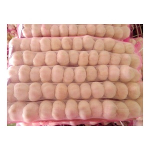 <span class=keywords><strong>Ail</strong></span> frais chinois à bas prix 20kg sac <span class=keywords><strong>en</strong></span> maille paquet <span class=keywords><strong>ail</strong></span> blanc <span class=keywords><strong>ail</strong></span> blanc normal pour l'exportation - Product Image 1